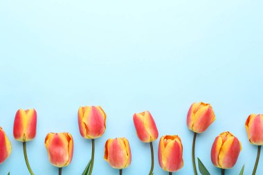 Mavi arka planda bir buket lale.