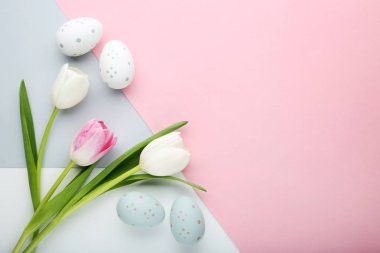 Lale ile Paskalya yumurtaları renkli arka plan üzerinde