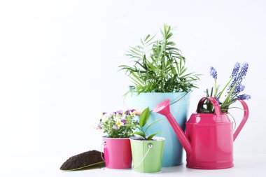 Beyaz arka plan üzerinde kovalar çiçekli bahçe aletleri