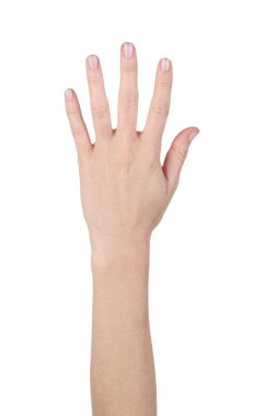 Kadın eli beyaz arkaplanda izole edilmiş