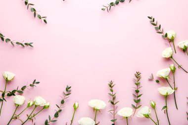 Beyaz gül çiçek yeşil yapraklar, pembe arka plan