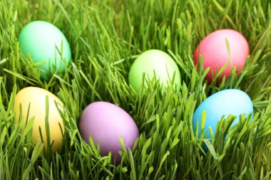 yeşil çim renkli Paskalya yortusu yumurta