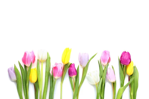 Bouquet Tulips Isolated White Background — Stock Photo, Image