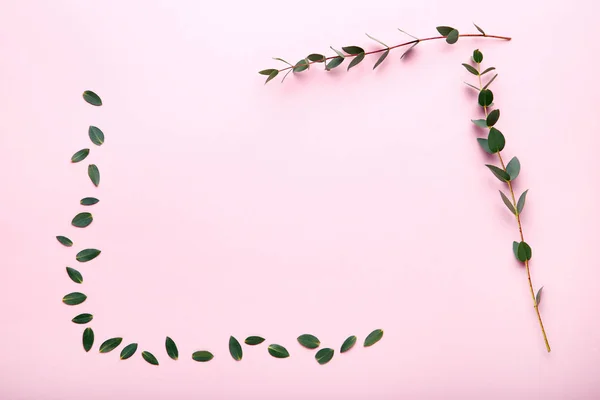 Tallos Con Hojas Verdes Sobre Fondo Rosa — Foto de Stock