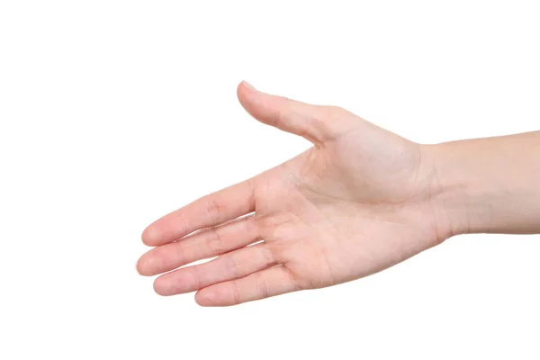 Weibliche Hand Isoliert Auf Weißem Hintergrund — Stockfoto