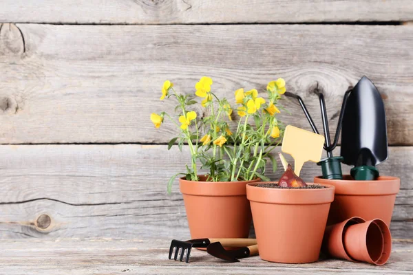 Peralatan Kebun Dengan Bunga Dalam Pot Atas Meja Kayu Abu — Stok Foto