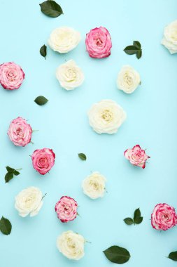 Mavi zemin üzerine pembe ve beyaz gül çiçek