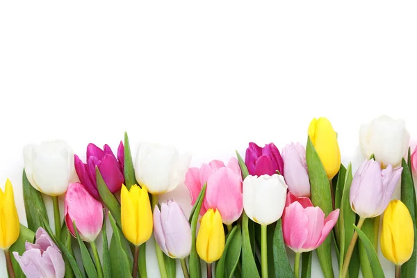 Bouquet Tulips White Background — Stock Photo, Image