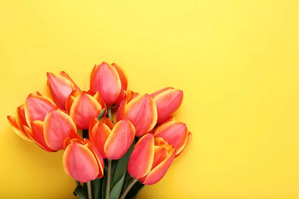 Ramo Tulipanes Sobre Fondo Amarillo —  Fotos de Stock
