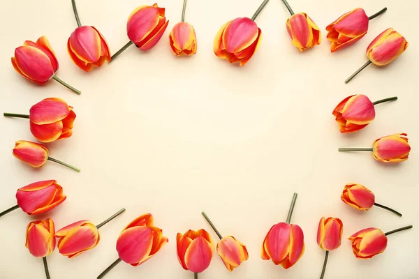 Beautiful Tulip Flowers Beige Background — Stock Photo, Image