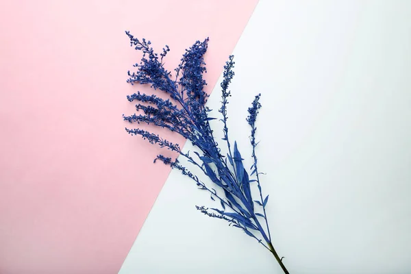 Blaue Blumen Auf Buntem Hintergrund — Stockfoto