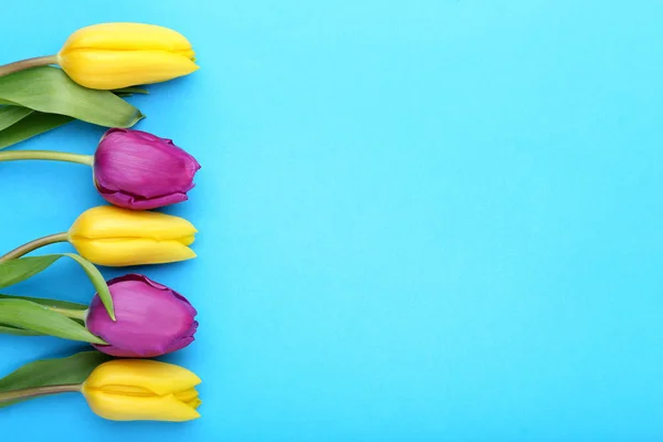 Ramo Tulipanes Sobre Fondo Azul —  Fotos de Stock