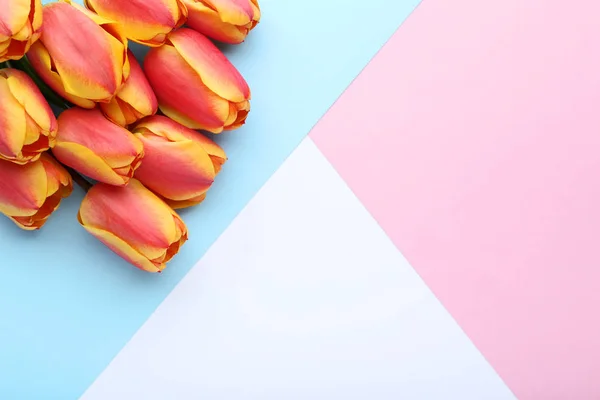 Ramo Tulipanes Sobre Fondo Colorido — Foto de Stock