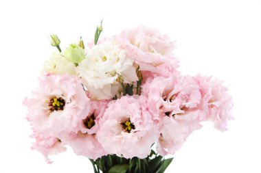 Beyaz arka plan üzerinde izole eustoma buket