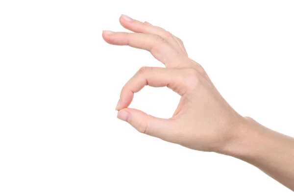 Wijfje Hand Geïsoleerd Witte Achtergrond — Stockfoto
