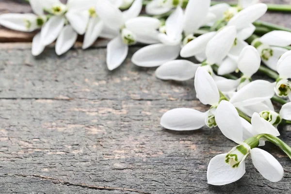 Fleurs Goutte Neige Sur Table Bois Gris — Photo