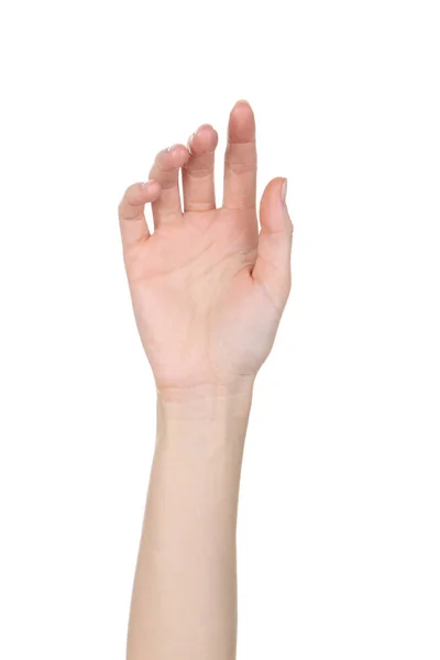 Женская Рука Белом Фоне — стоковое фото