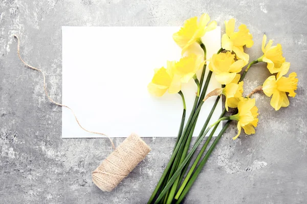 Yellow Narcissus Flowers Blank Sheet Paper Grey Wooden Table — Stock Photo, Image
