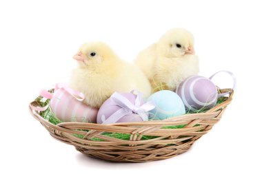 Küçük kızlarla Paskalya yumurta beyaz arka plan üzerinde