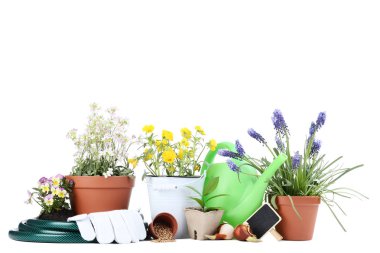 Kova ve tencere beyaz zemin üzerine güzel çiçekler