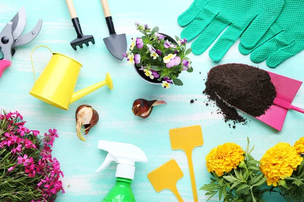 Peralatan Kebun Yang Berbeda Dengan Bunga Meja Kayu Mint — Stok Foto