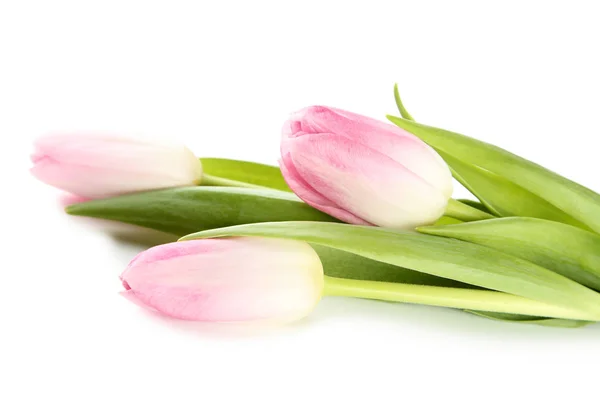 Bukiet Różowych Tulipanów Białym Tle — Zdjęcie stockowe