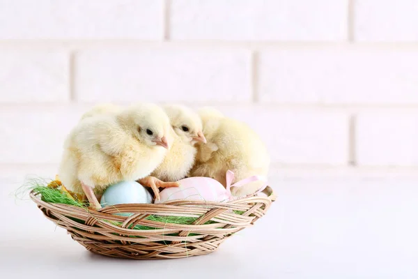 Λίγο Νεοσσούς Πασχαλινά Αυγά Φόντο Τοίχο Τούβλου — Φωτογραφία Αρχείου