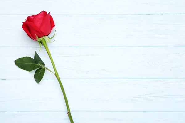 Rosa Roja Sobre Mesa Madera — Foto de Stock