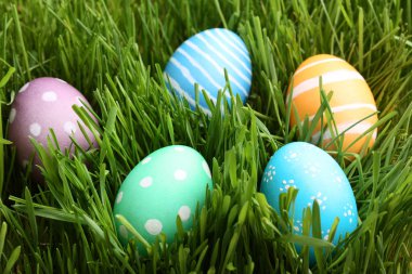 yeşil çim renkli Paskalya yortusu yumurta