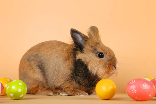 Braunes Kaninchen Mit Ostereiern Auf Beigem Hintergrund — Stockfoto