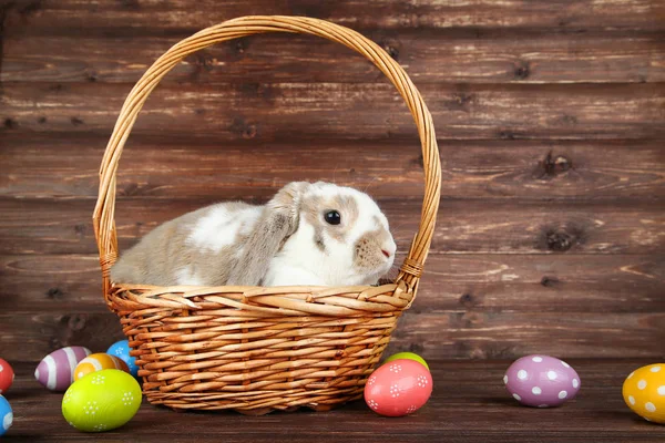 Beautiful Rabbit Easter Eggs Wooden Background — Stock Photo, Image