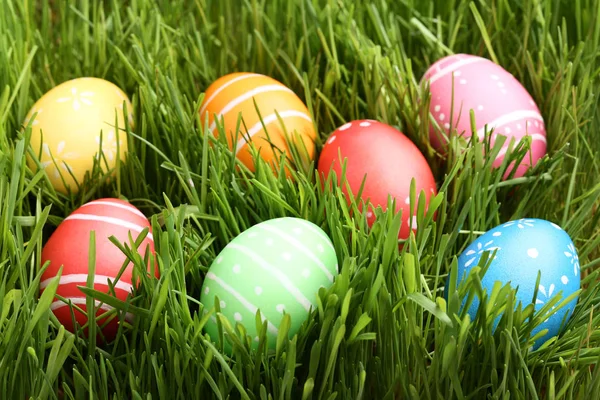 yeşil çim renkli Paskalya yortusu yumurta