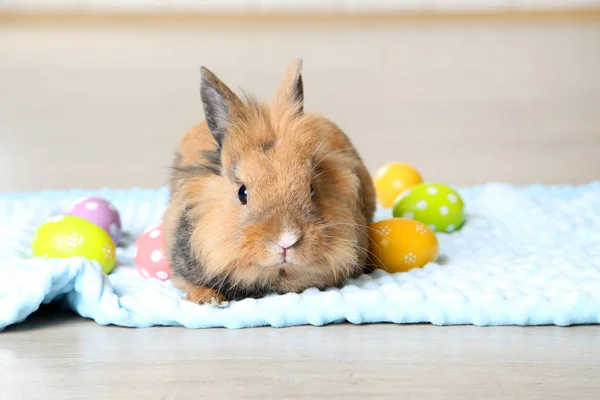 Braun Schöne Kaninchen Mit Bunten Ostereiern — Stockfoto