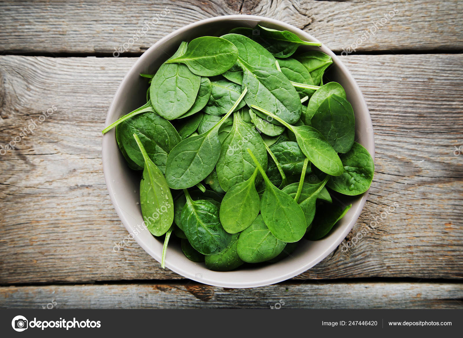 spinach in bahasa malaysia - Madeleine Jackson