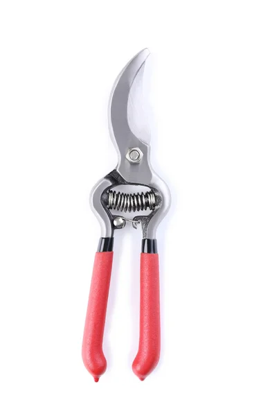 Garden pruner isolated on white background — Stock Photo, Image