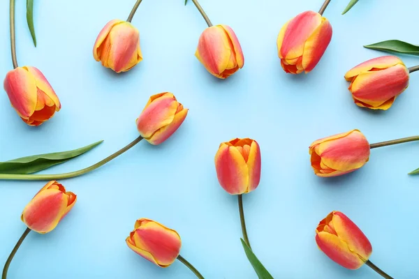Strauß von Tulpen auf blauem Hintergrund — Stockfoto