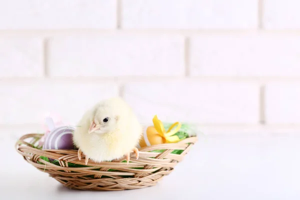 Little chick with easter eggs on brick wall background