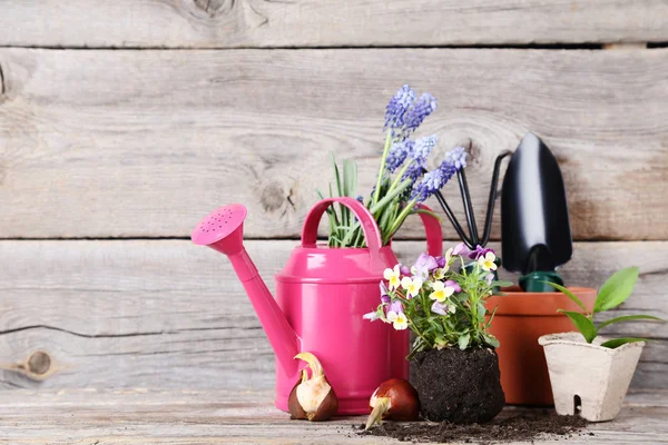 Peralatan kebun dengan bunga di atas meja kayu abu-abu — Stok Foto