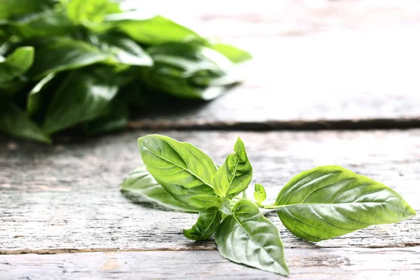 Foglie di basilico verde su tavolo grigio in legno — Foto Stock