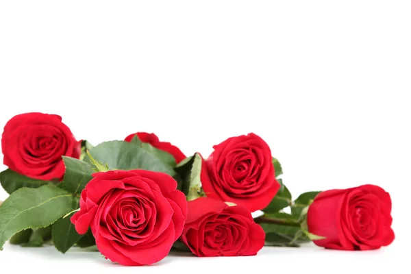 Boeket rode rozen geïsoleerd op witte achtergrond Stockfoto