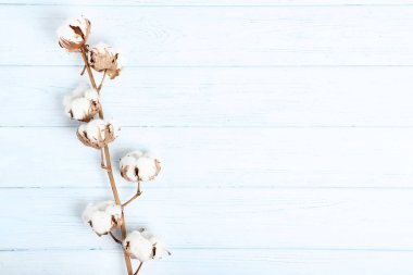 Ahşap masa üzerinde pamuk çiçekli ağaç dalı