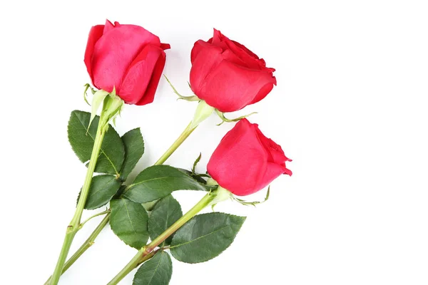 Bouquet de roses rouges isolé sur fond blanc — Photo