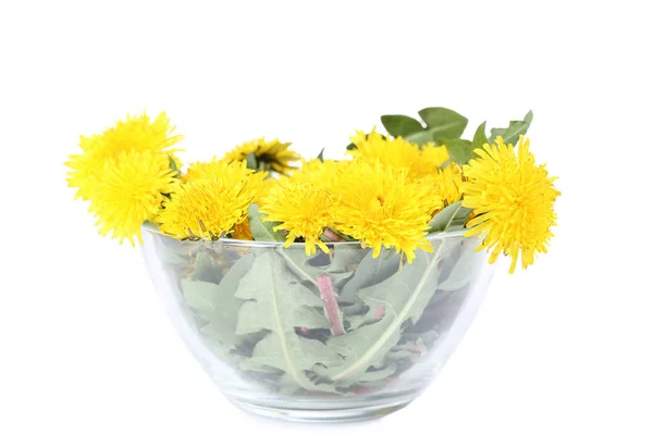 Yellow dandelions in bowl isolated on white background — Stock Photo, Image