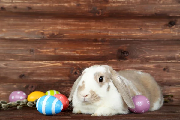 Красивый кролик с пасхальными яйцами на деревянном фоне — стоковое фото