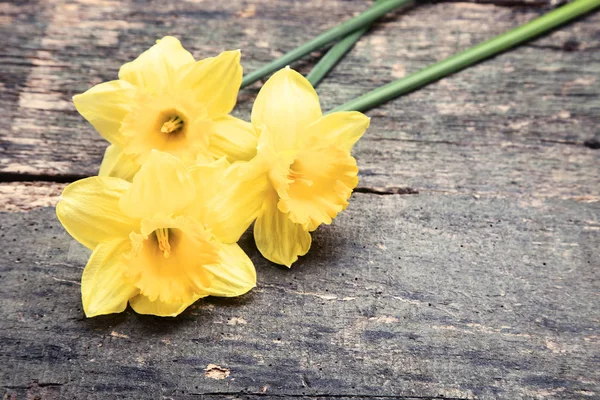 Flores narcisos amarelas na mesa de madeira cinza — Fotografia de Stock