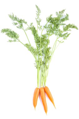 Beyaz arka planda izole edilmiş taze havuç