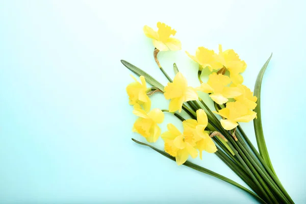 Νάρκισσος κίτρινο λουλούδια σε μπλε φόντο — Φωτογραφία Αρχείου