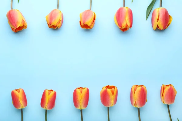 Ramo de tulipanes sobre fondo azul —  Fotos de Stock