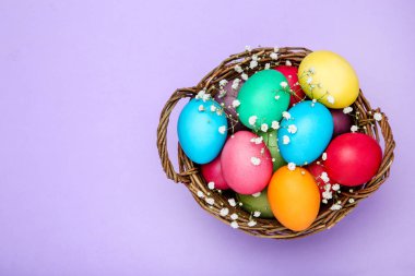 Paskalya yumurtaları sepette mor backgrou üzerinde gypsophila çiçekli