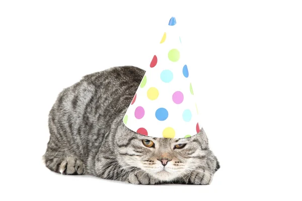 Schattige kat met verjaardag GLB liggend op witte achtergrond — Stockfoto